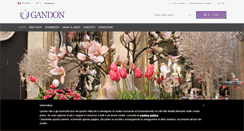 Desktop Screenshot of gandon.it